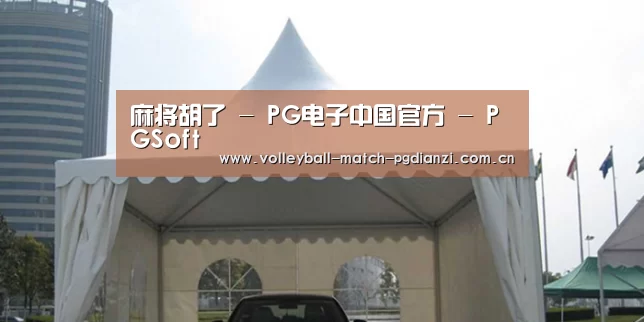 案例标题八