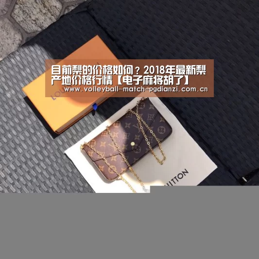 pg电子麻将胡了