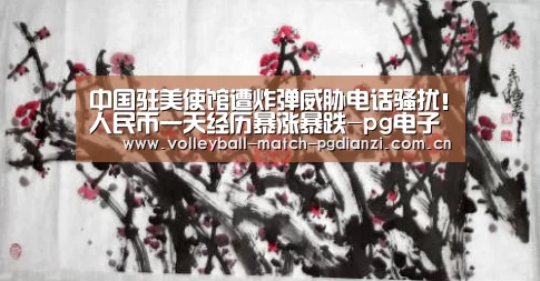 中国驻美使馆遭炸弹威胁电话骚扰！人民币一天经历暴涨暴跌-pg电子麻将胡了(图2)