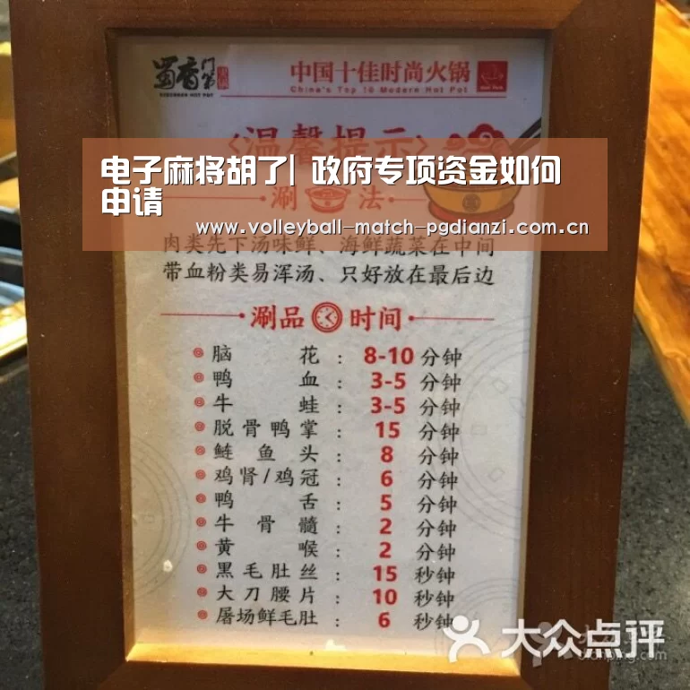 电子麻将胡了|
政府专项资金如何申请(图3) 电子麻将胡了