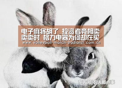 电子麻将胡了_投资者竞相卖卖卖时 格力电器为何却在买买买?(图2) pg电子麻将胡了