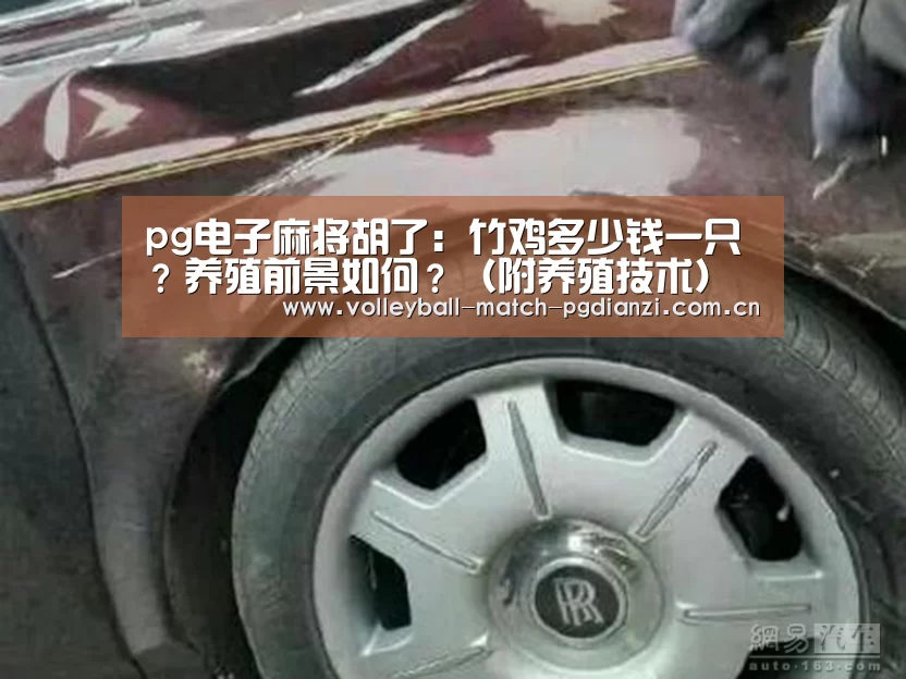 pg电子麻将胡了:竹鸡多少钱一只?养殖前景如何?(附养殖技术)(图2) 电子麻将胡了