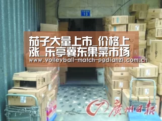 电子麻将胡了