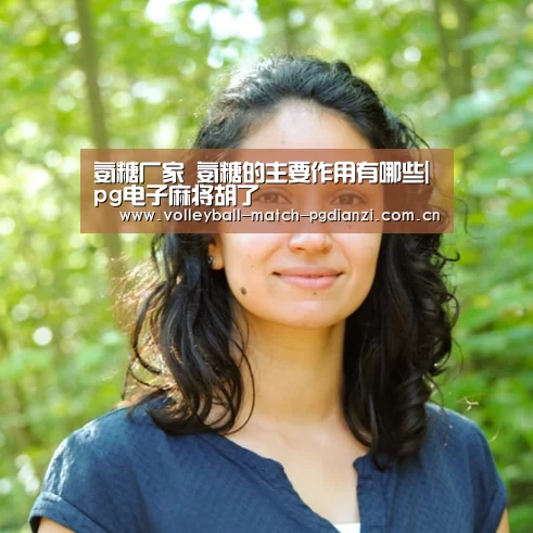 电子麻将胡了