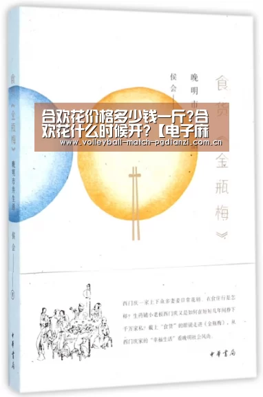 电子麻将胡了