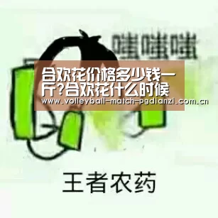 电子麻将胡了