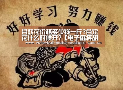 电子麻将胡了