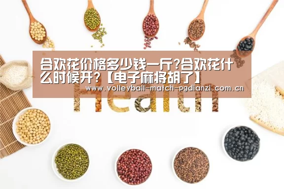 pg电子麻将胡了