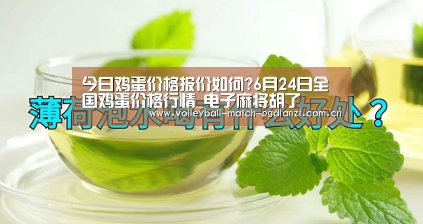 电子麻将胡了