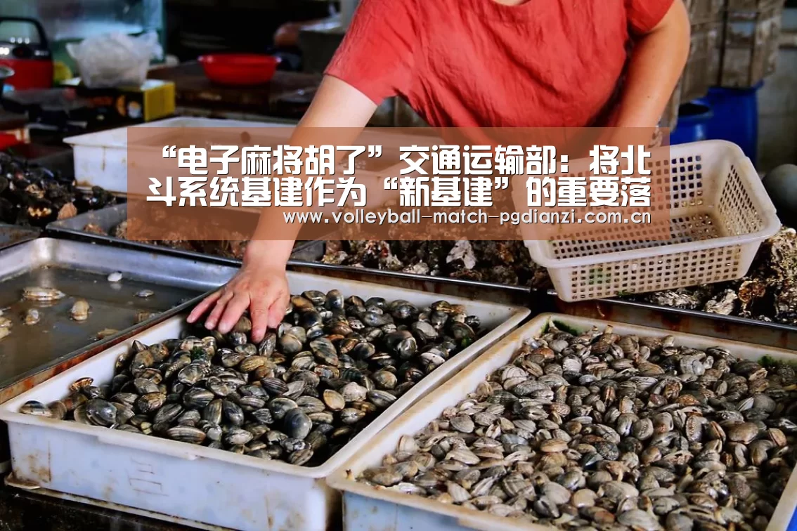 “电子麻将胡了”交通运输部:将北斗系统基建作为“新基建”的重要落脚点(图1) 电子麻将胡了