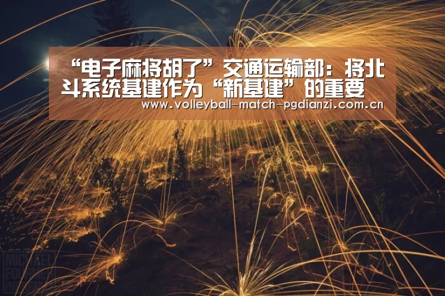 “电子麻将胡了”交通运输部:将北斗系统基建作为“新基建”的重要落脚点(图2) pg电子麻将胡了
