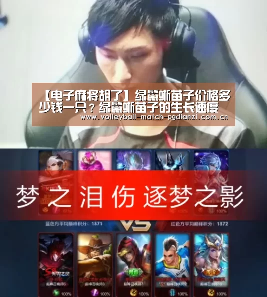 pg电子麻将胡了