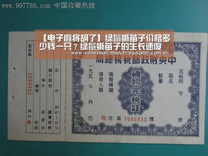 pg电子麻将胡了