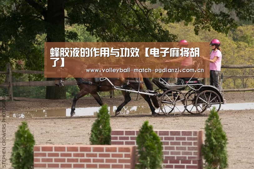 电子麻将胡了